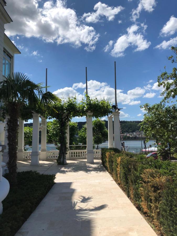 Villa Sturm Ruedesheim Am Rhein Ngoại thất bức ảnh